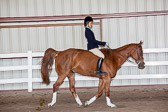 Hunt Seat Bareback Hunt Seat Bareback
