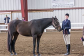 Hunt Seat Fit and Show Hunt Seat Fit and Show