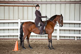 Saddle Seat Equitation Saddle Seat Equitation