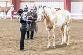 Western Fit and Show Western Fit and Show