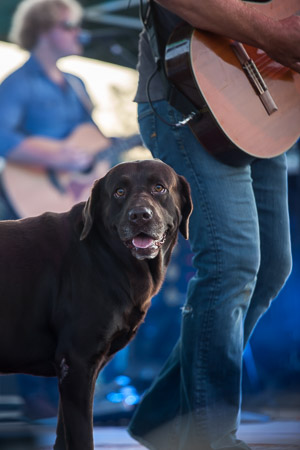 Billy Currington Concert Billy Currington Concert
