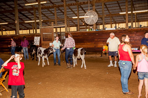 4H Small Animal Auction