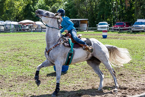 Equestrian Equestrian