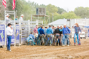 Rodeo Rodeo