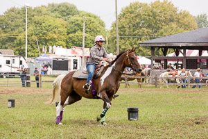 Equestrian Equestrian