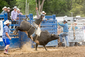 Genesee County Fair 2018 Genesee County Fair 2018