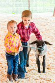 Youth Sheep Show