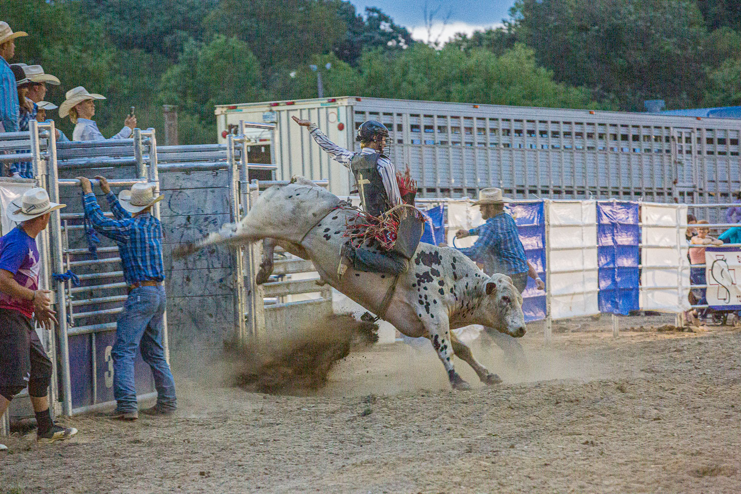 Rodeo Rodeo