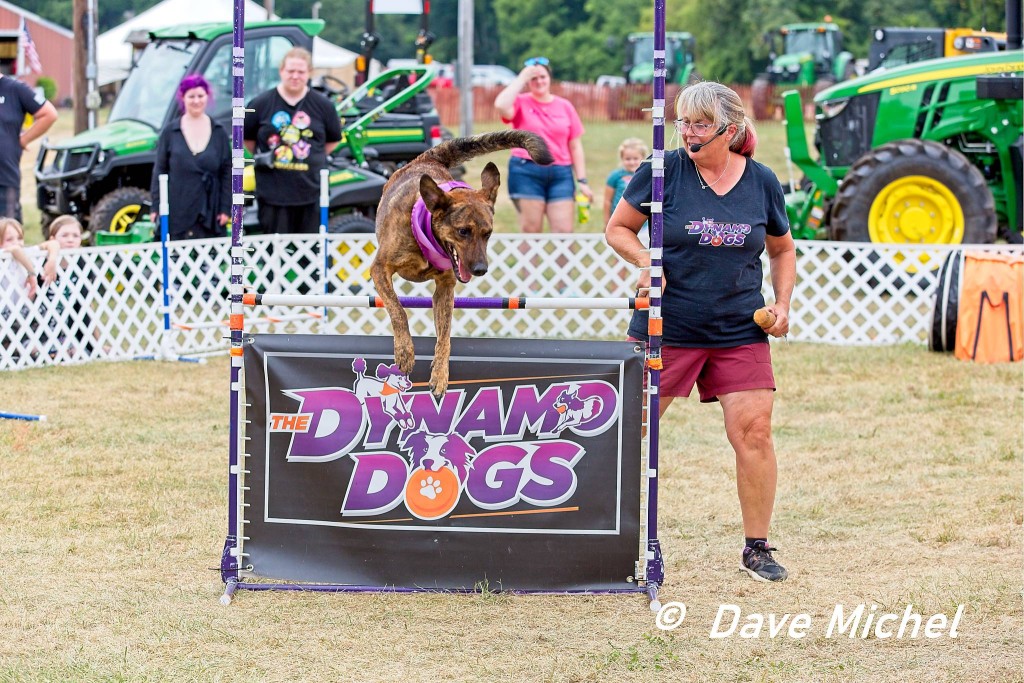 GCF22--Dog-Show3.jpg