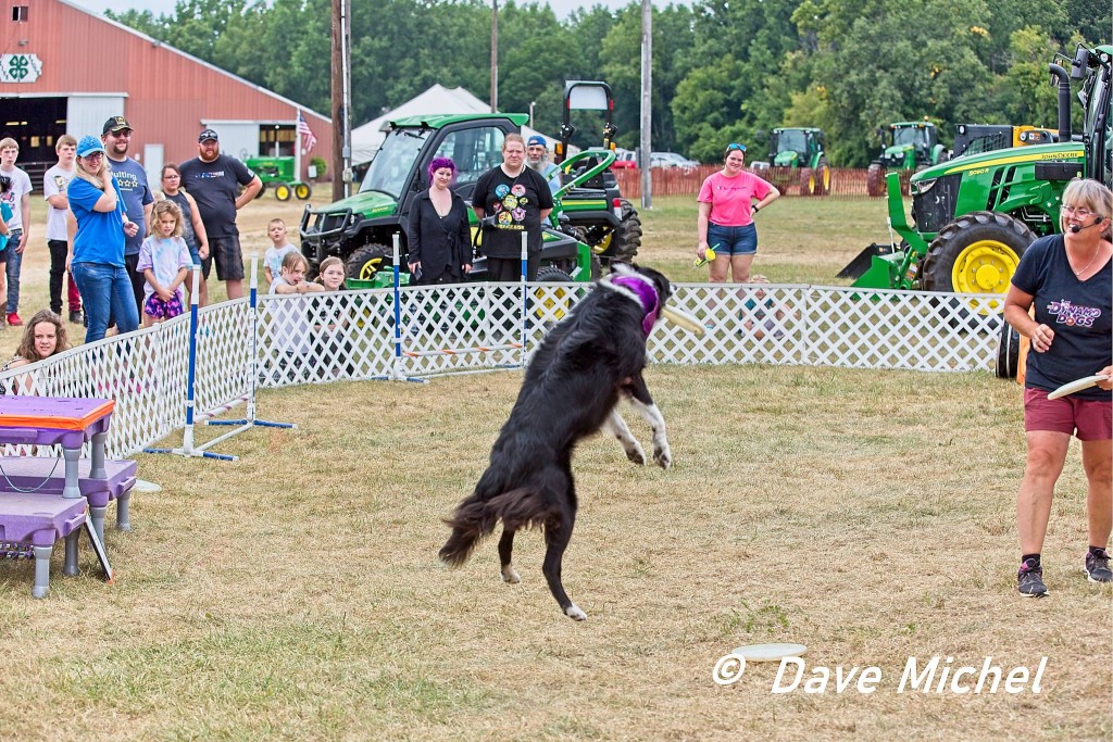 GCF22--Dog-Show5.jpg