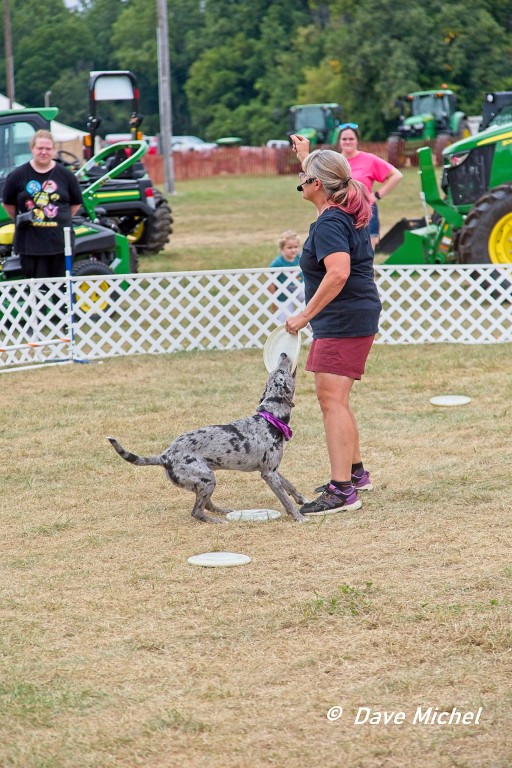 GCF22--Dog-Show1.jpg