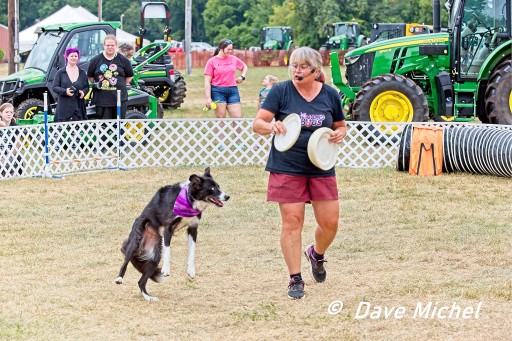 GCF22--Dog-Show4.jpg