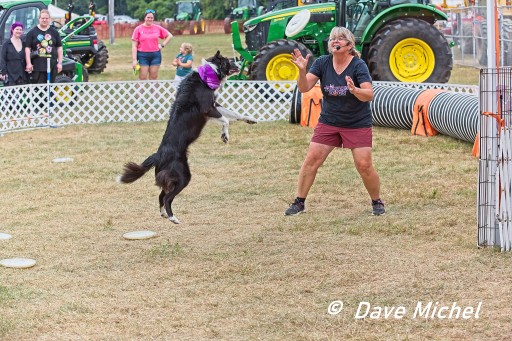 GCF22--Dog-Show6.jpg