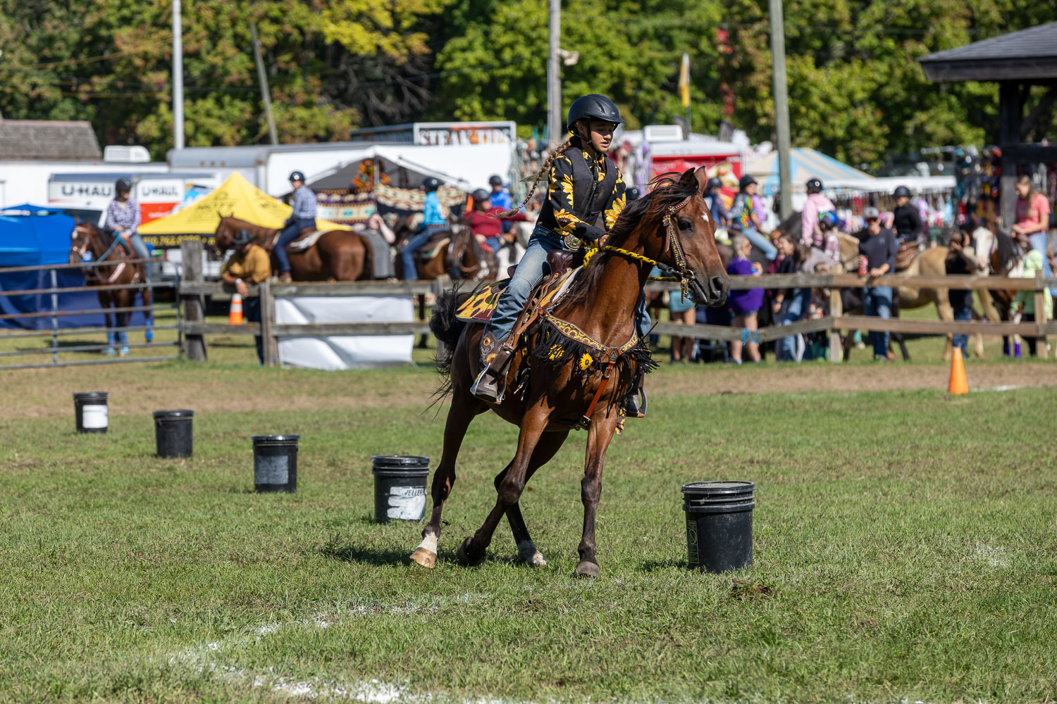Equestrian Equestrian