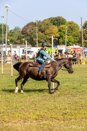 Equesterian Pole Bending Equesterian Pole Bending