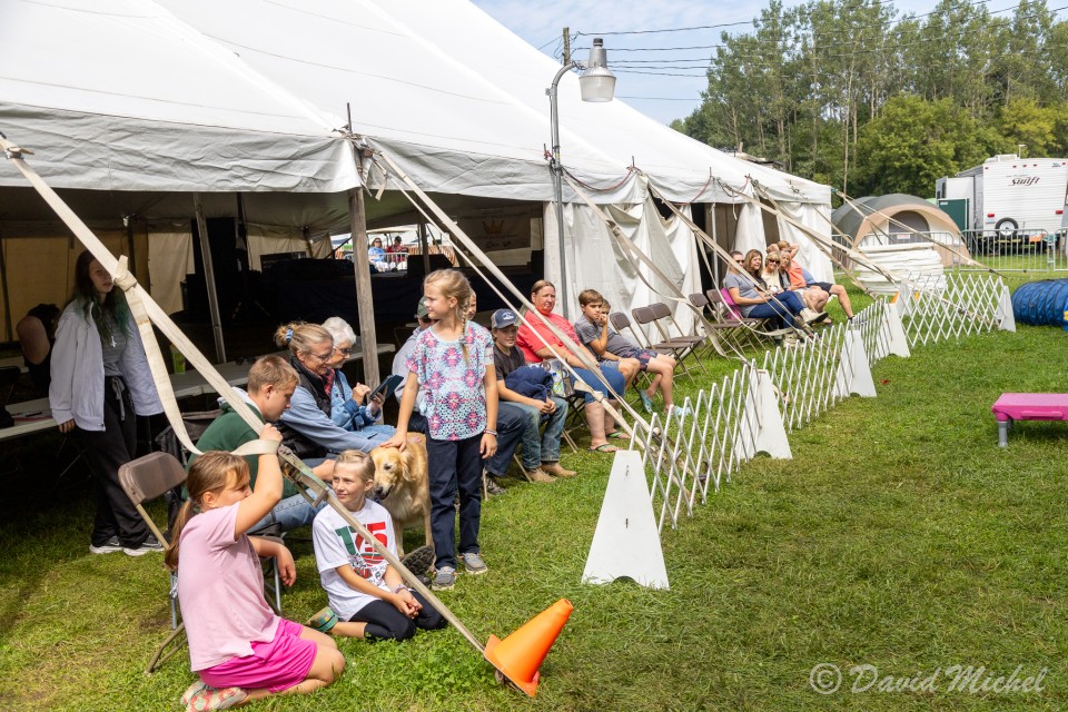 DogShow-1.jpg