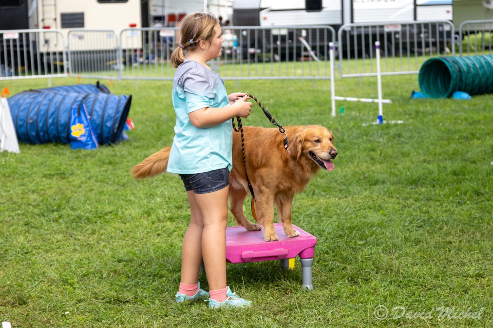 DogShow-2.jpg