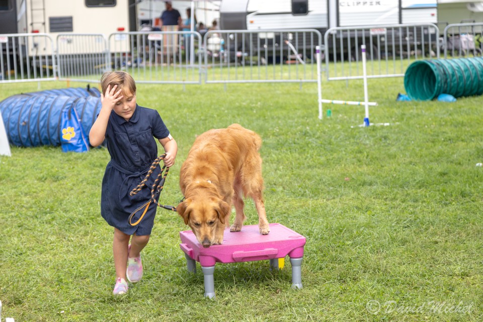 DogShow-5.jpg