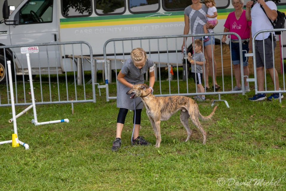 DogShow-6.jpg