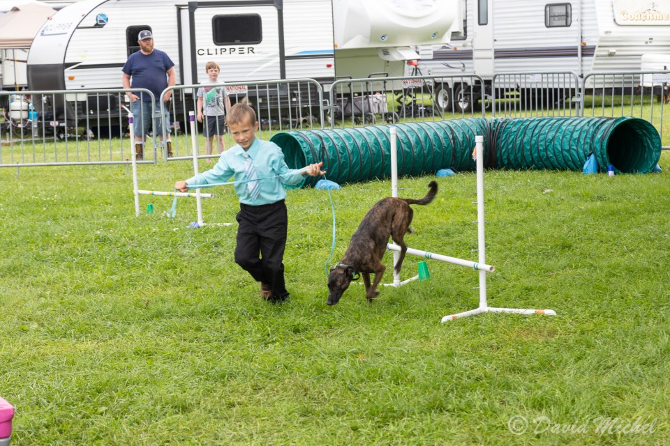 DogShow-8.jpg