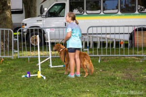 DogShow-4.jpg