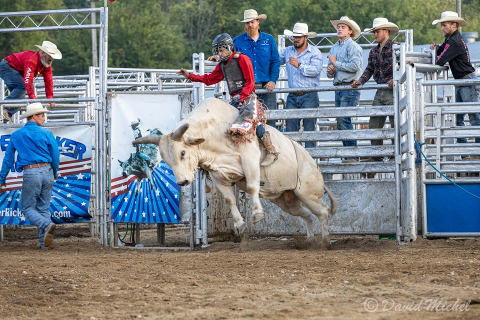 Rodeo-10.jpg