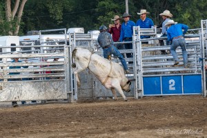 Rodeo-08.jpg