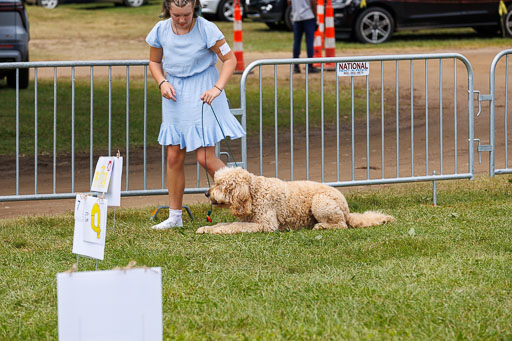 _LM_1463.jpg