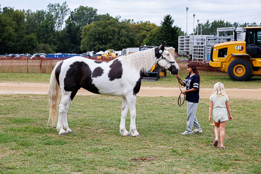 _LM_2102.jpg