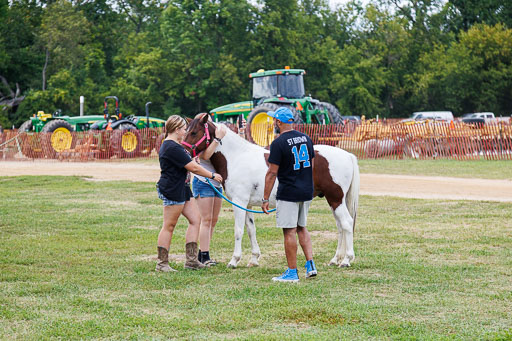 _LM_2103.jpg