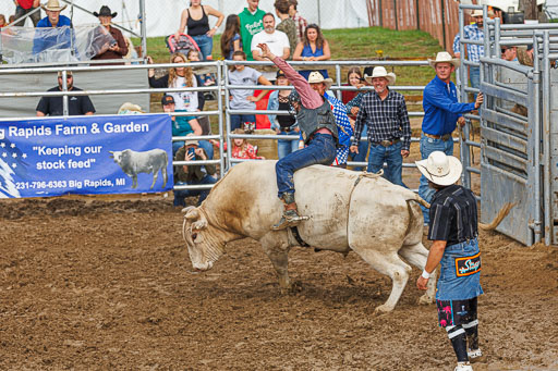 _LM_3380.jpg