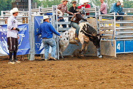 _LM_1308.jpg