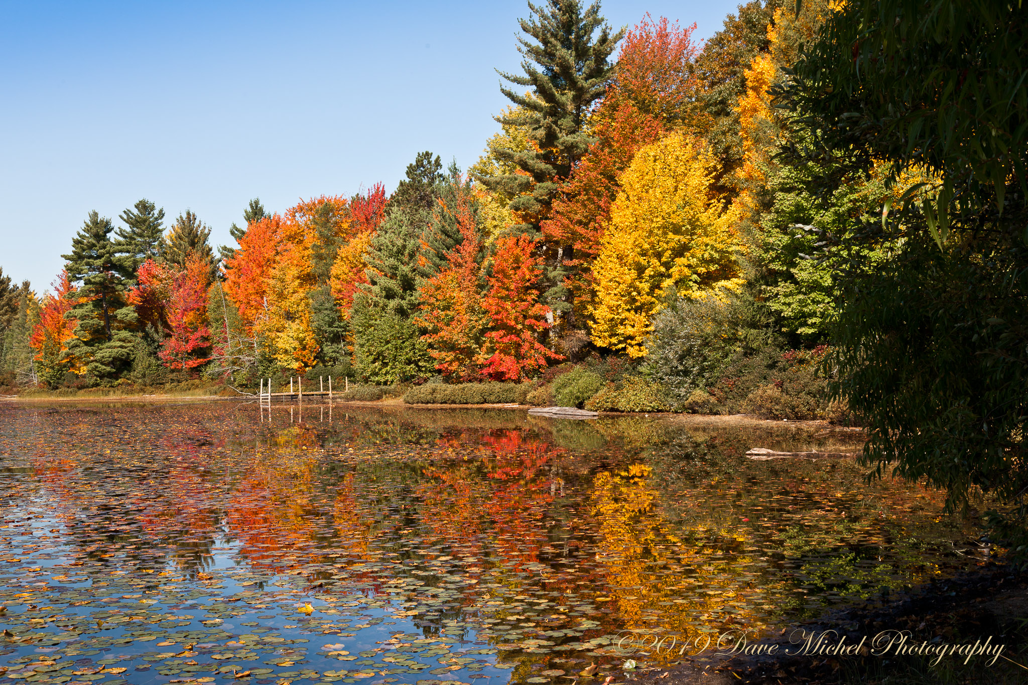 Fall-2011-53-2.jpg