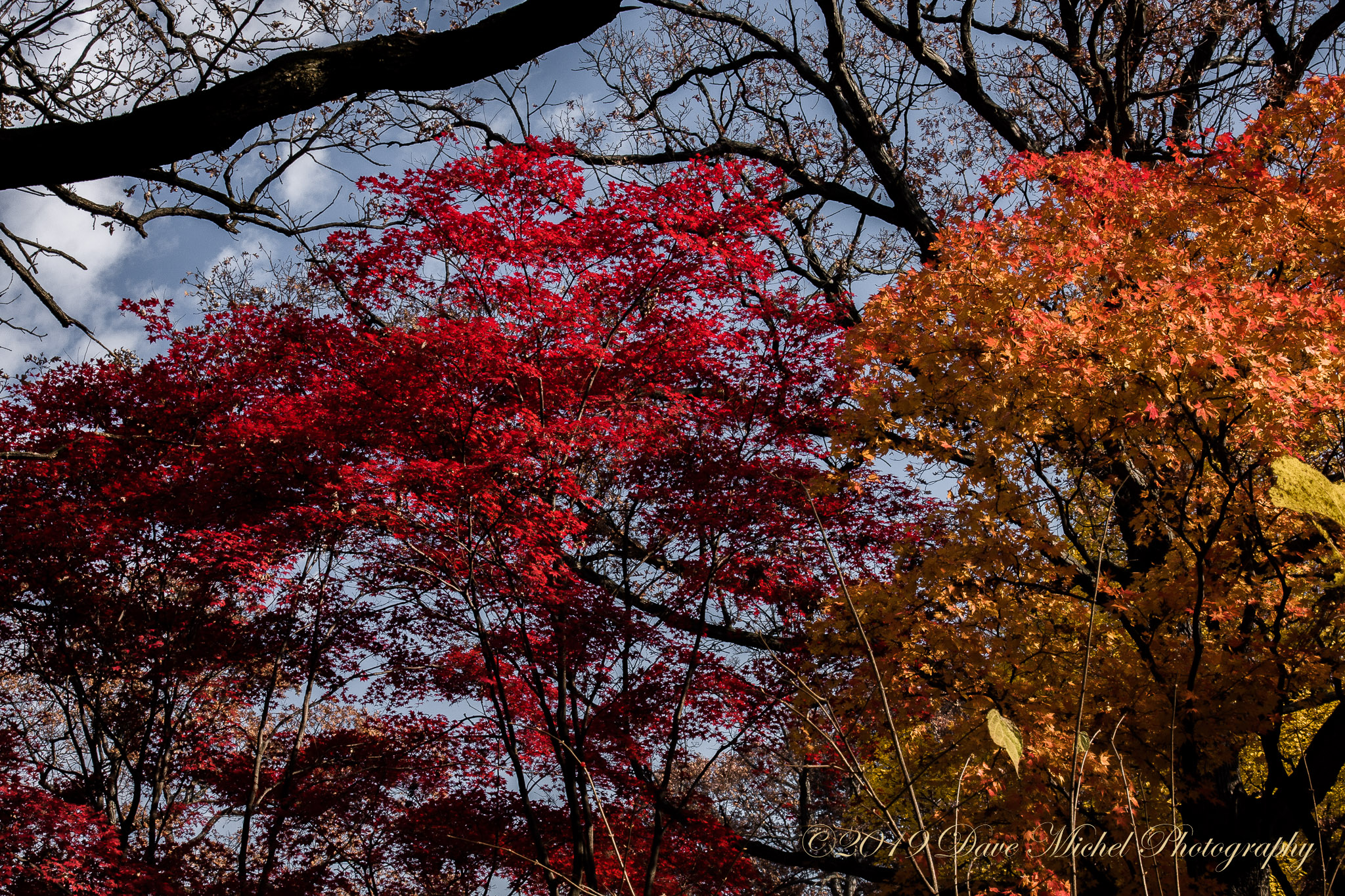 Morton-Arboretum-Fall-2008-18_v1.jpg