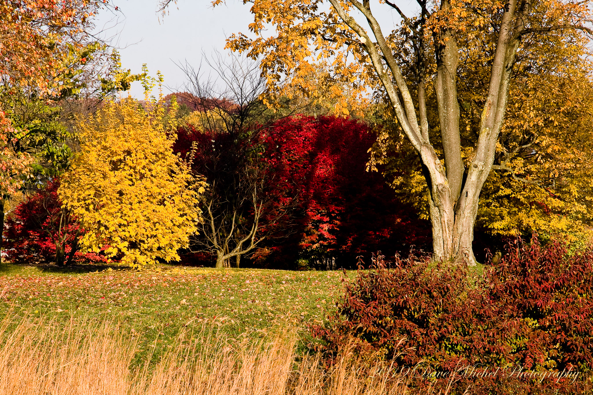 Morton-Arboretum-Fall-2008-2.jpg