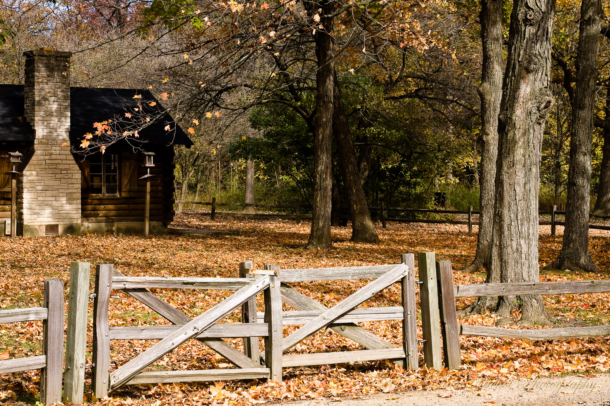 Ryerson-Forest-Preserve-Fall-2008-11.jpg