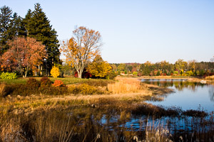 Morton-Arboretum-Fall-2008-4.jpg