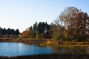 Morton-Arboretum-Fall-2008-6.jpg