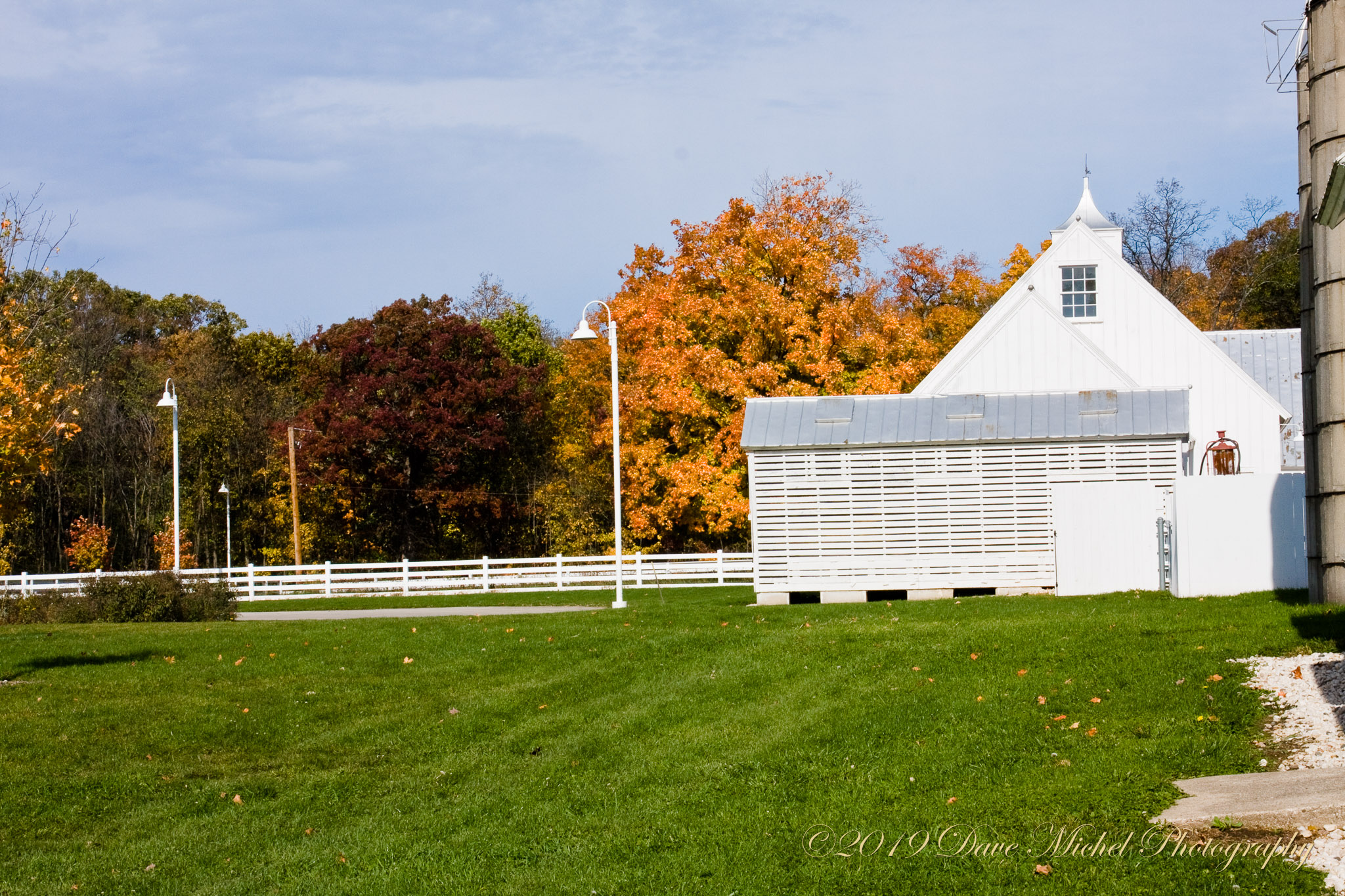 Ryerson-Forest-Preserve-Fall-2008-5.jpg