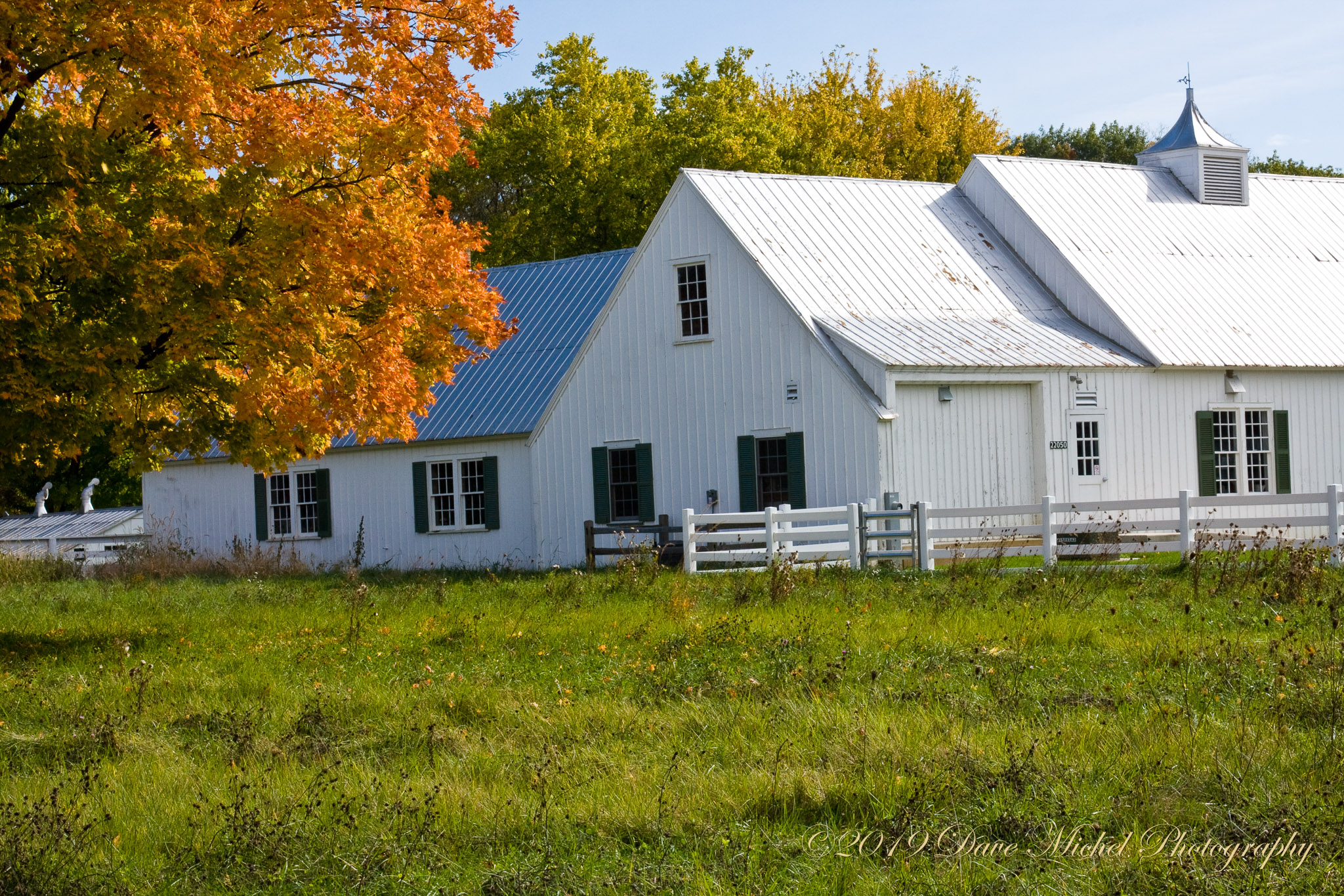 Ryerson-Forest-Preserve-Fall-2008-9.jpg