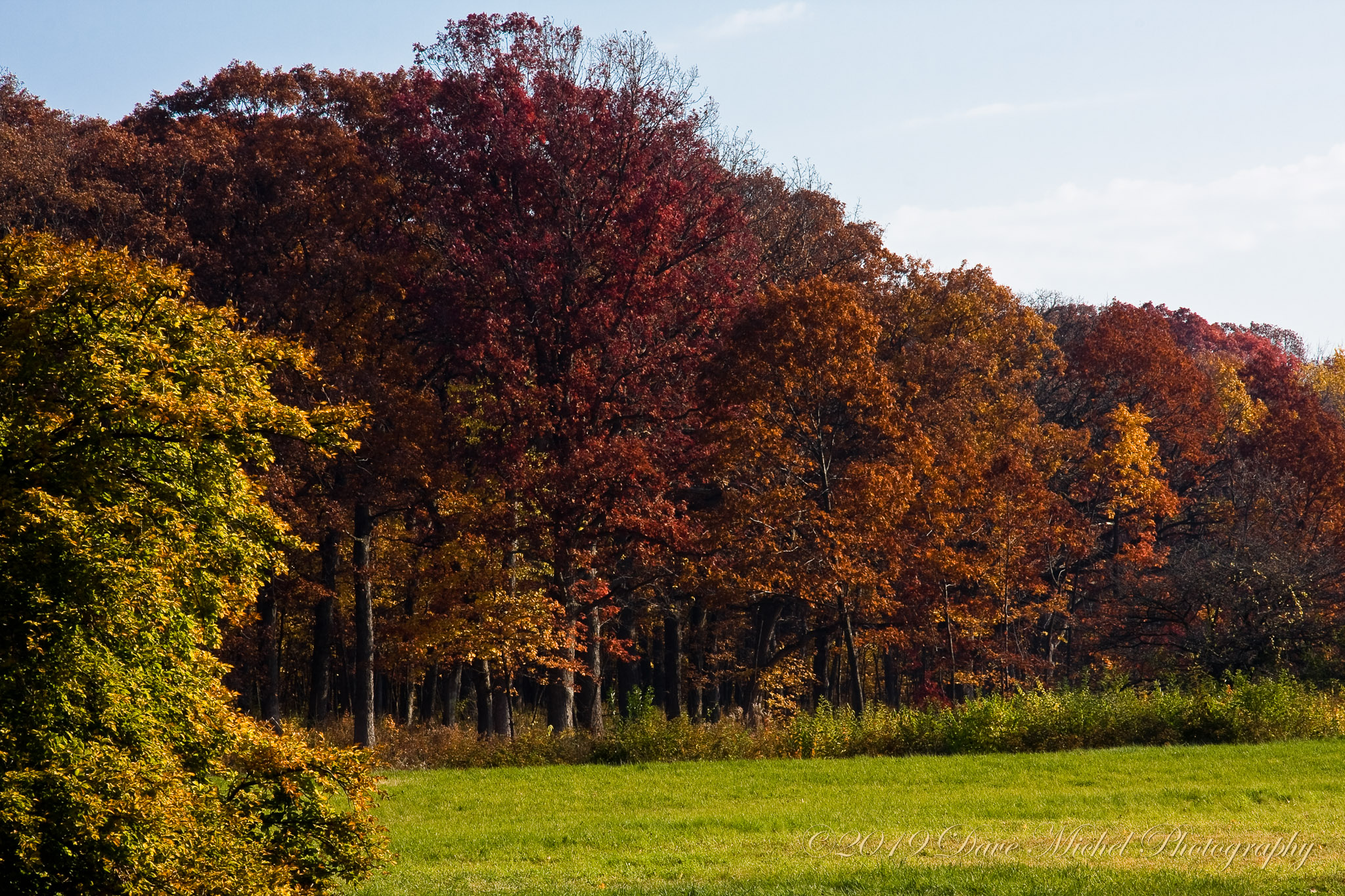 Morton-Arboretum-Fall-2008-13.jpg