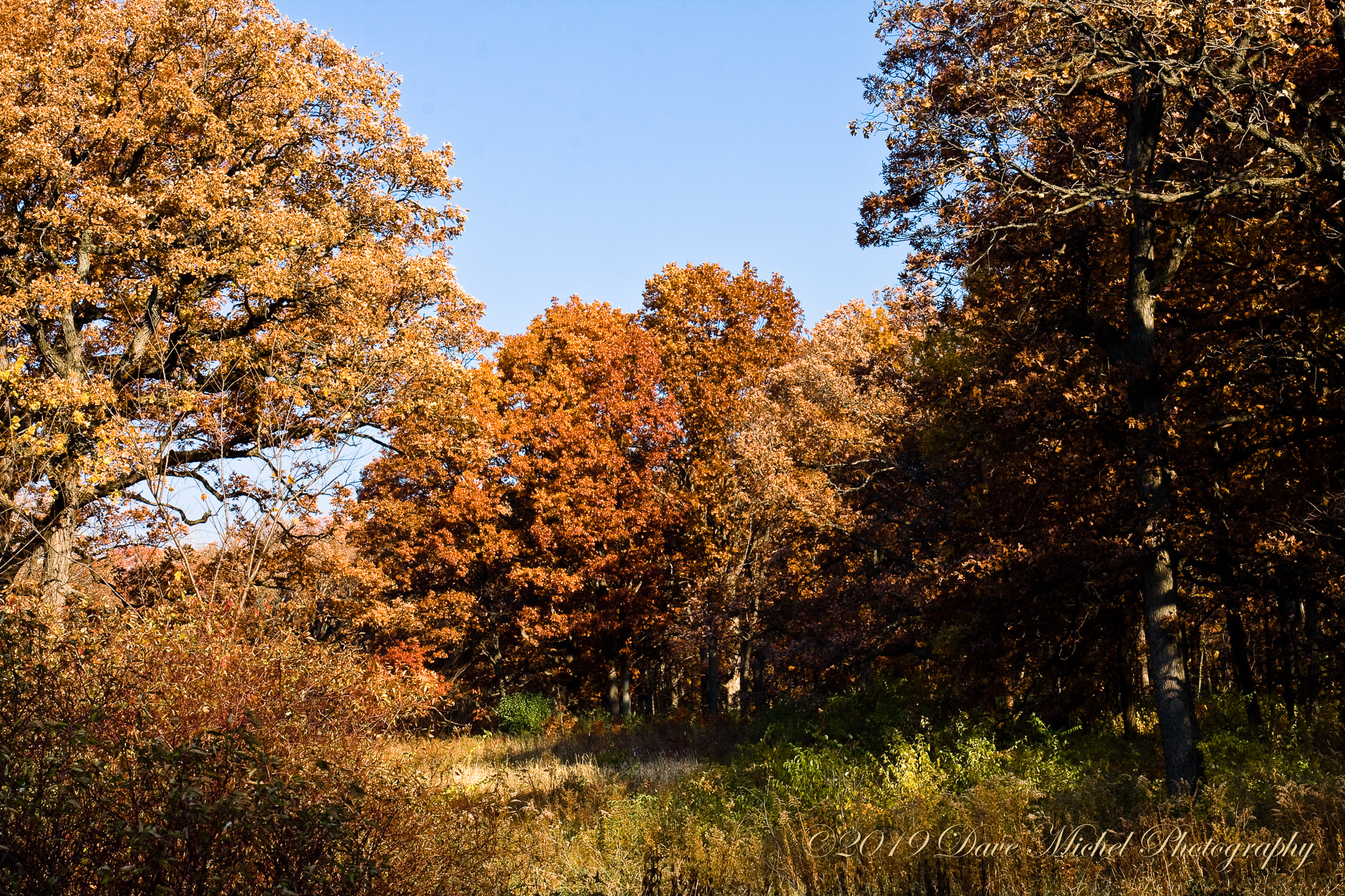 Morton-Arboretum-Fall-2008-19.jpg