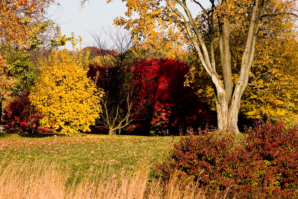 Morton-Arboretum-Fall-2008-2.jpg