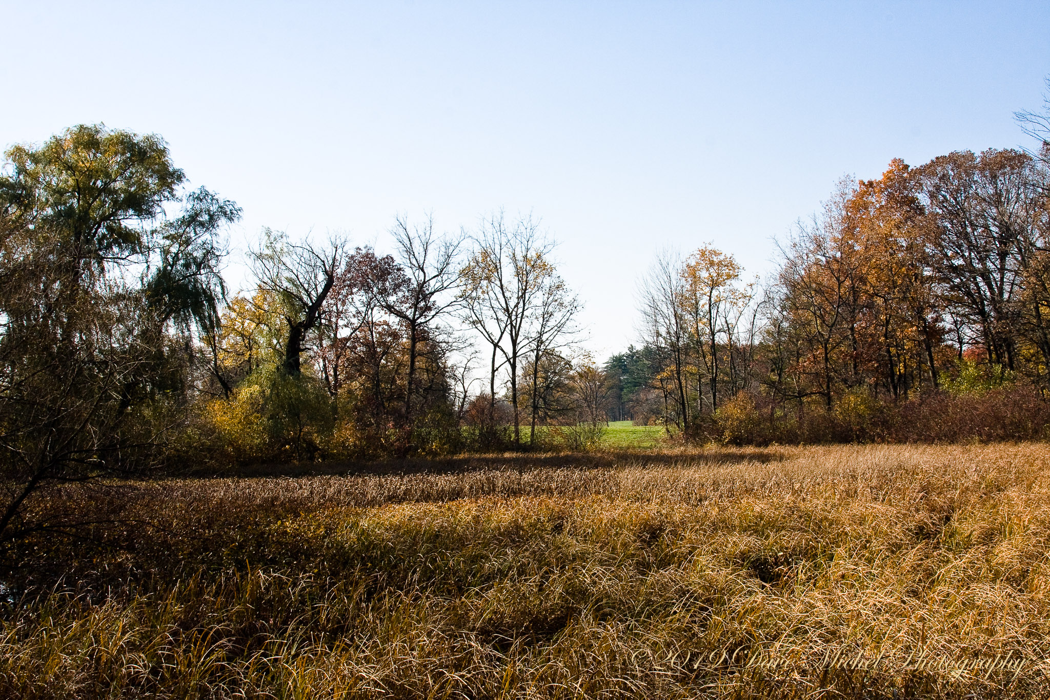 Morton-Arboretum-Fall-2008-20.jpg