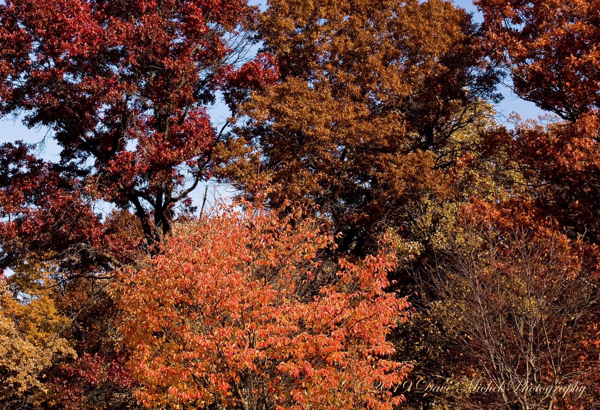 Morton-Arboretum-Fall-2008-22.jpg