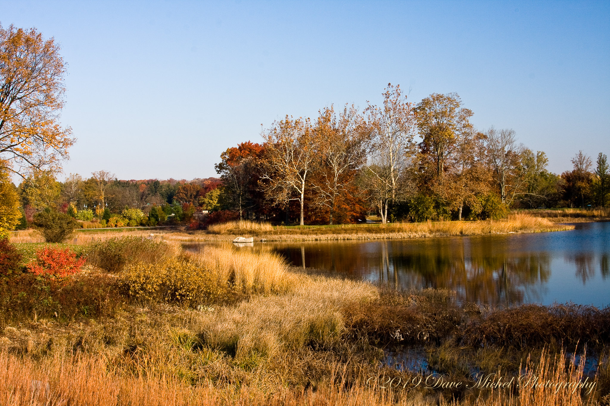 Morton-Arboretum-Fall-2008-3.jpg