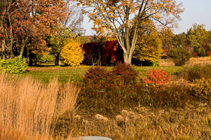 Morton-Arboretum-Fall-2008-1.jpg