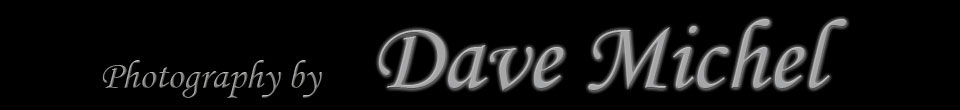 Dave Michel Photography