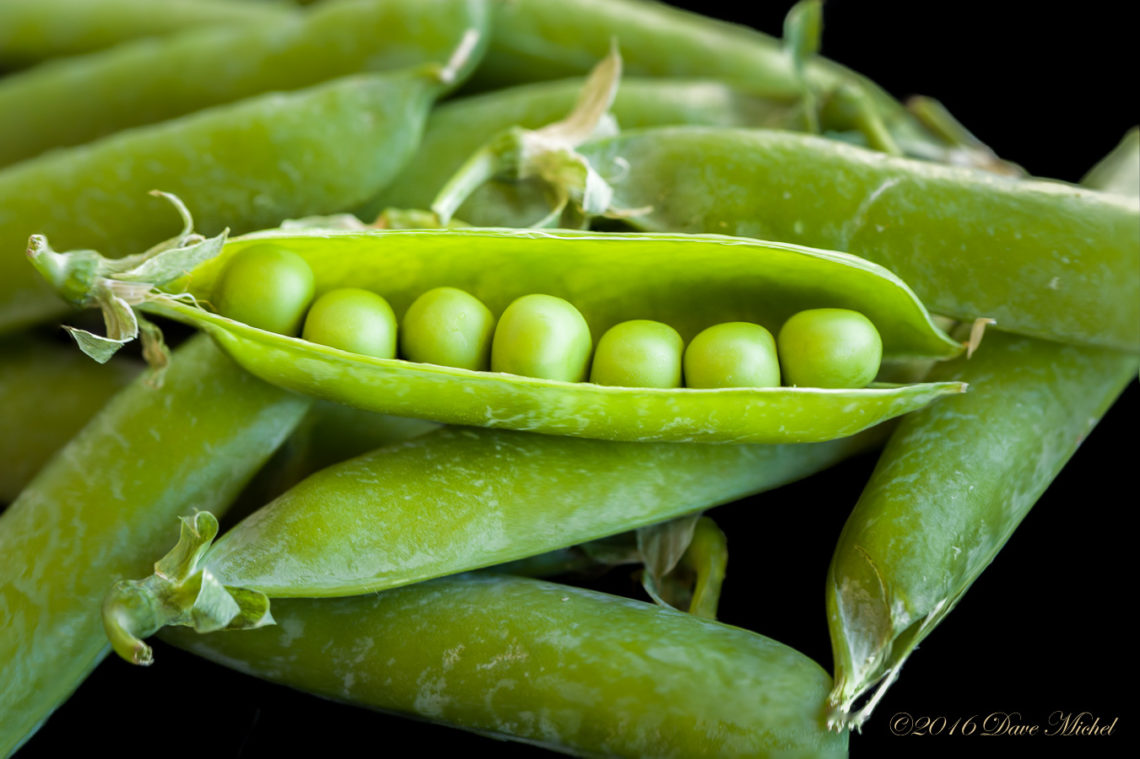 dmp-blog-peas-4