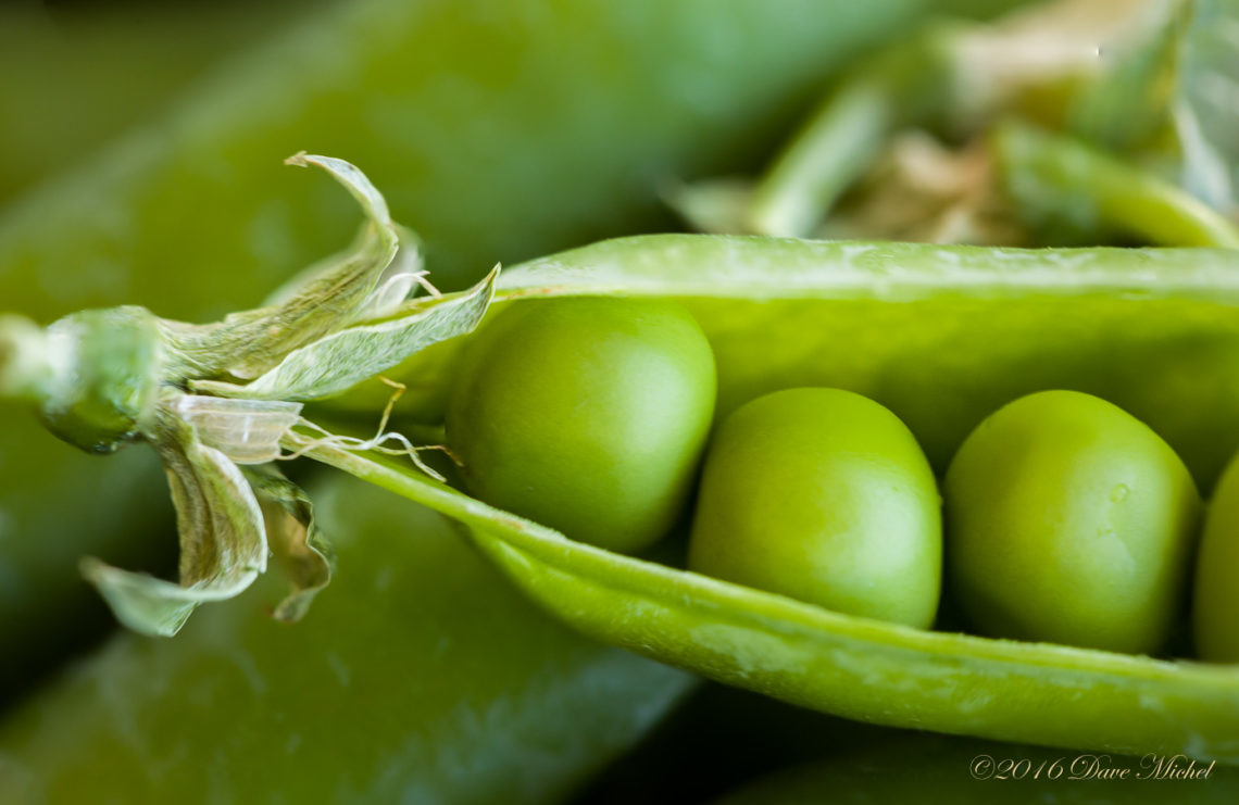 dmp-blog-peas-5